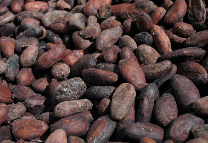 Côte d’Ivoire: le cacao estimé à près de 12% des recettes fiscales