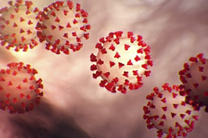 Coronavirus: des ‘kits de dépistage rapide’ seront fabriqués au Sénégal