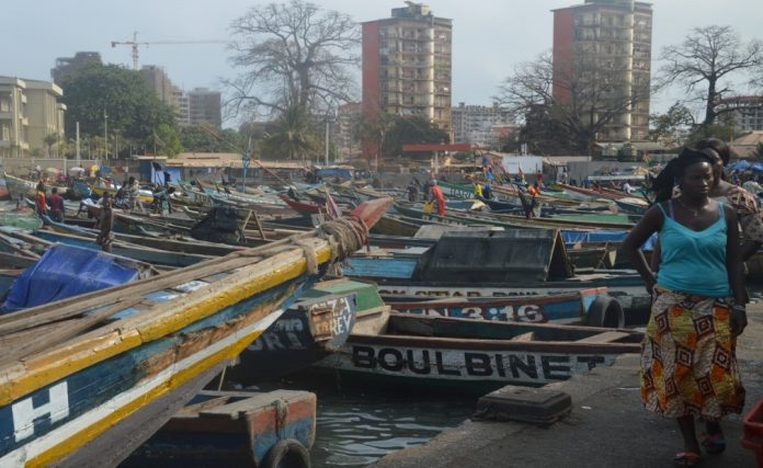 Guinée: 7 584 pirogues de pêche recensées (ministre)