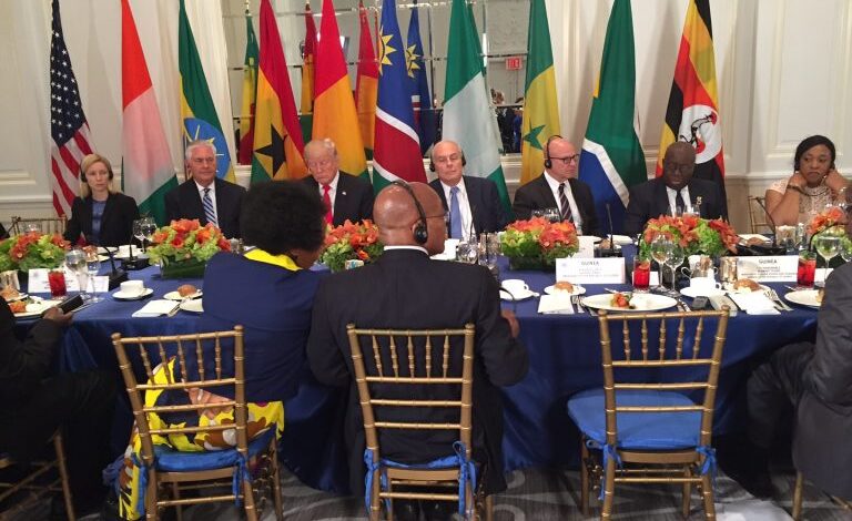 Déjeuner de travail de Donald Trump avec des présidents africains.