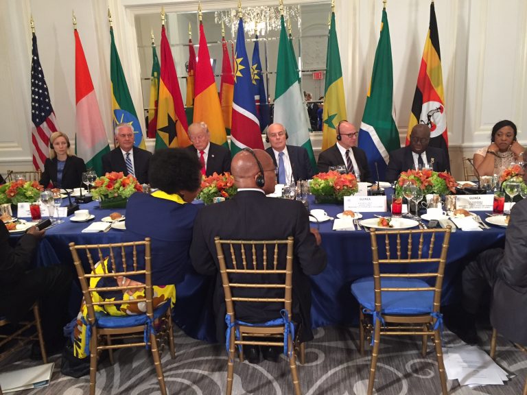 Déjeuner de travail de Donald Trump avec des présidents africains.