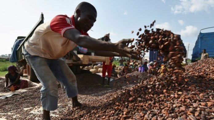 La Côte d’Ivoire va investir près d’un milliard d’euros pour réhabiliter sa forêt détruite