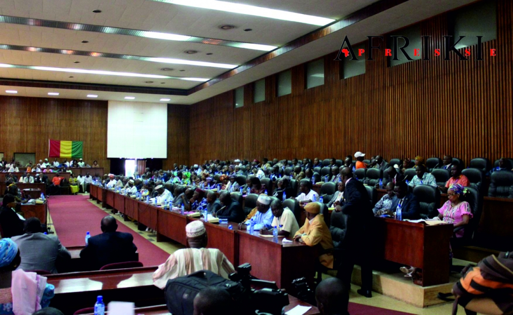 La Guinée adopte 0,2% sur les importations au profit de l’UA
