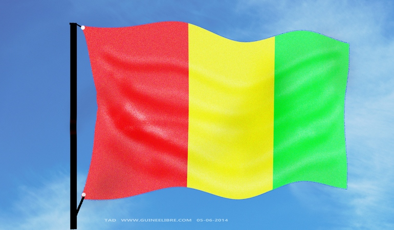 “Un Mouvement pour changer la situation précaire de la Guinée”
