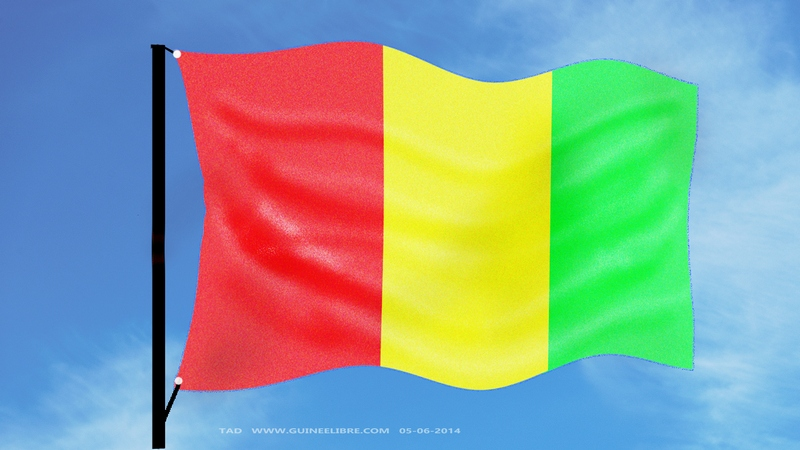 “Un Mouvement pour changer la situation précaire de la Guinée”